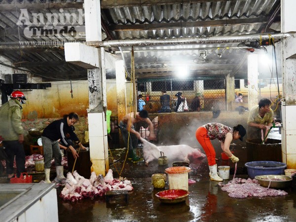Phát hiện, thu giữ 100kg thịt lợn có chất tạo nạc ở lò mổ lớn nhất Bắc Trung Bộ ảnh 1
