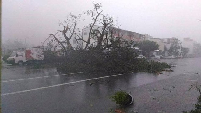 Đài Loan hoang tàn sau khi siêu bão Nepartak quét qua ảnh 5