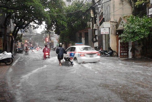 Hà Nội: 3 người bị thương, 100 cây xanh bị đổ trong cơn bão số 3 ảnh 1