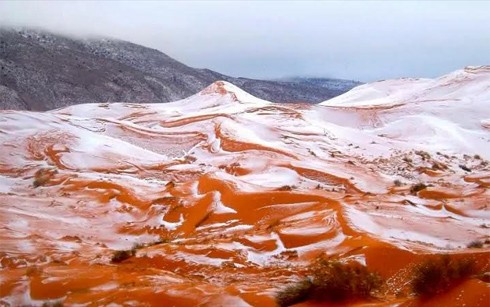 Khó tin nhưng có thật: Tuyết rơi trắng xóa tại sa mạc Sahara ảnh 3