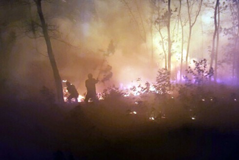 Lực lượng công an, quân đội chi viên chữa cháy rừng chiều 29 Tết ảnh 1