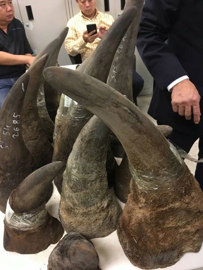 Phát hiện lô hàng "khủng" nghi sừng tê giác tại sân bay Nội Bài ảnh 3
