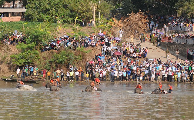 Hấp dẫn cuộc thi bơi dành cho voi trên dòng sông Sêrêpốc ảnh 3