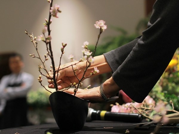 50 loài hoa độc đáo của Nhật Bản sẽ được trưng bày tại Hà Nội ảnh 1