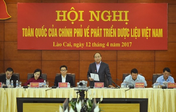Thủ tướng Nguyễn Xuân Phúc: Cần làm rõ vì sao dược liệu Việt rẻ hơn cả… khoai lang? ảnh 1