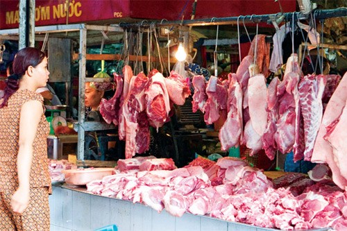 Bộ NN&PTNT "cầu cứu" Thủ tướng giải cứu ngành chăn nuôi lợn đang bên bờ vực phá sản
