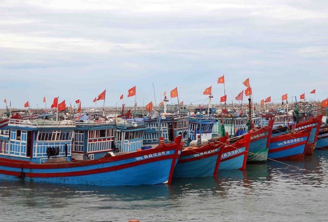 Hội Nghề cá phản đối quy chế cấm đánh bắt cá của Trung Quốc trên Biển Đông ảnh 1