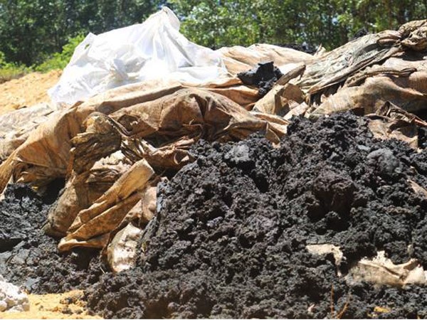 Bộ trưởng Trần Hồng Hà: Phải làm rõ vụ chất thải Formosa chôn trái phép tại Hà Tĩnh ảnh 1