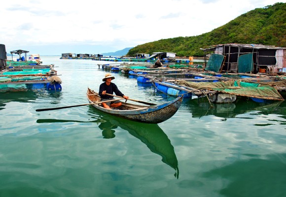 Trí Nguyên - Đảo xanh thanh bình ảnh 5