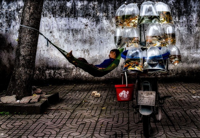 Nhiếp ảnh Việt Nam giành 2 huy chương quốc tế ảnh 1