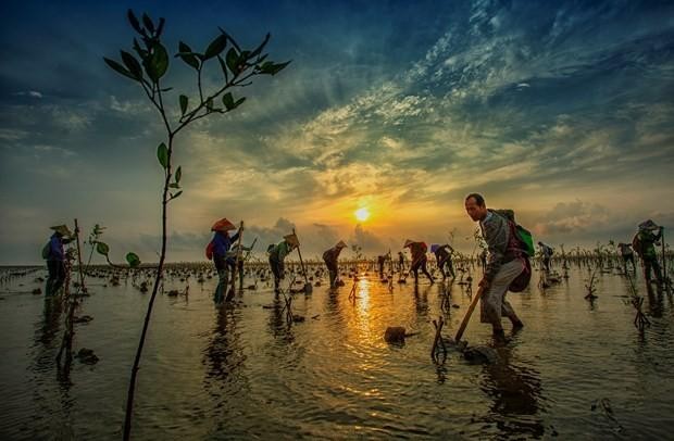 "Buổi sáng của đàn cò" đoạt giải Nhất cuộc thi ảnh về các vùng đất ngập nước của Việt Nam ảnh 2