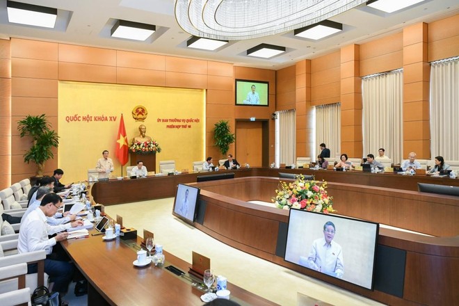 Ủy ban Kinh tế: Thị trường chứng khoán Việt Nam có mức giảm mạnh nhất thế giới ảnh 1