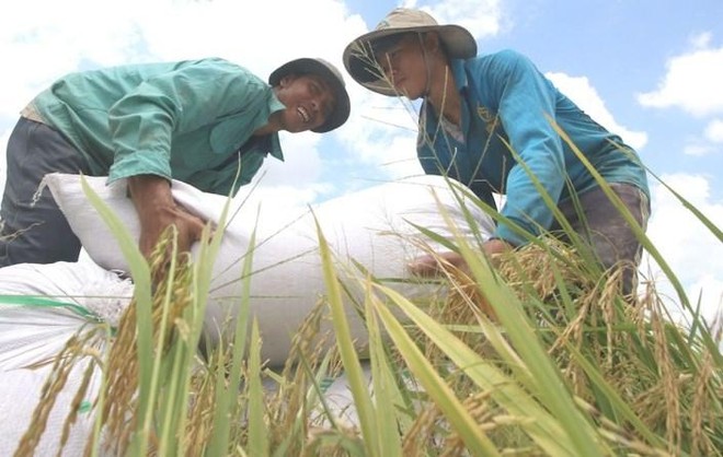 Việt Nam xếp thứ 46/166 quốc gia về chỉ số phát triển bền vững ảnh 1