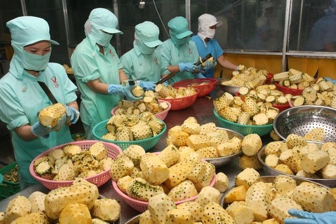 Trung Quốc nhập khẩu rau quả chế biến từ Việt Nam tăng 34,9% ảnh 1