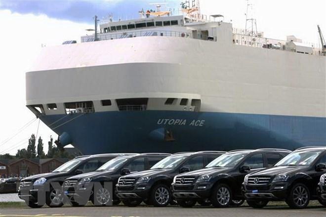 Từ hôm nay (24-1), ô tô chở người dưới 16 chỗ chỉ được nhập khẩu qua 6 cửa khẩu cảng biển ảnh 1