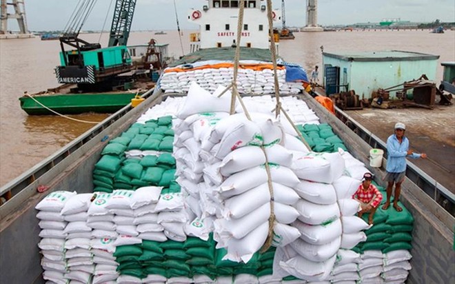 Giá gạo xuất khẩu tăng từng ngày ảnh 1