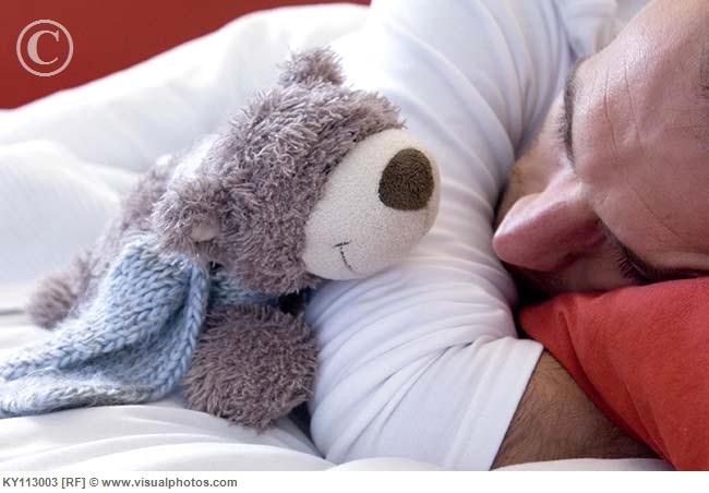 35% người lớn ở Anh nghiện ôm gấu bông khi ngủ ảnh 3