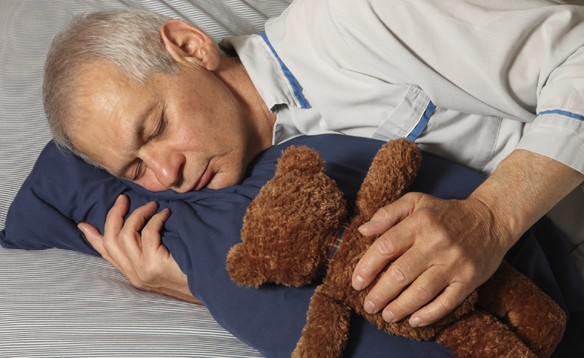 35% người lớn ở Anh nghiện ôm gấu bông khi ngủ ảnh 1