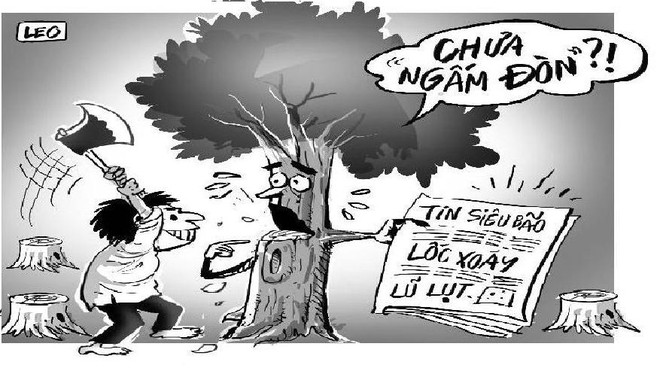 Nhân tai nguy hơn thiên tai ảnh 1