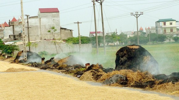 Con đường rơm nguy hiểm ảnh 4