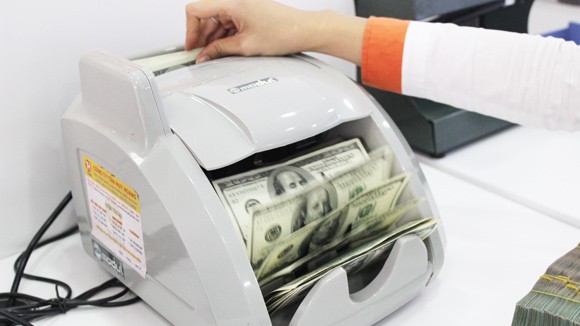 Tín dụng ngoại tệ tăng nằm trong tính toán của NHNN ảnh 1