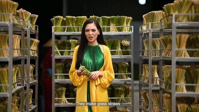 Nhan sắc Việt - người đẹp Vân Anh gây ấn tượng tại đấu trường "Miss Earth 2021" ảnh 2
