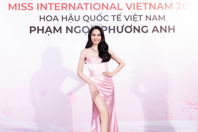 Phương Anh mặc trang phục lấy cảm hứng từ hoa Trạng nguyên tại "Hoa hậu Quốc tế 2022" ảnh 1