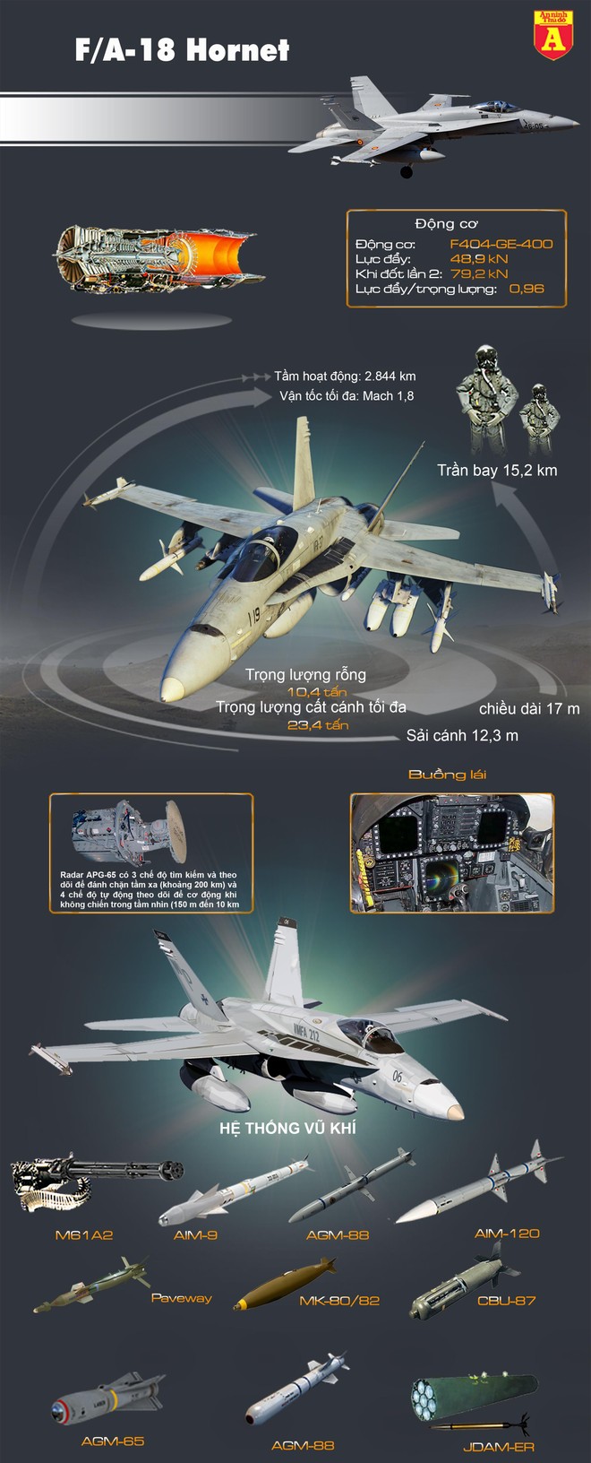 Không quân Hoàng gia Australia loại biên chiến đấu cơ F/A-18 Hornet ảnh 2