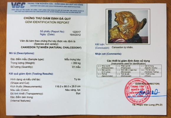 Chiêm ngưỡng “Cá chép vàng vân ngọc thạch” tuyệt đẹp ảnh 2