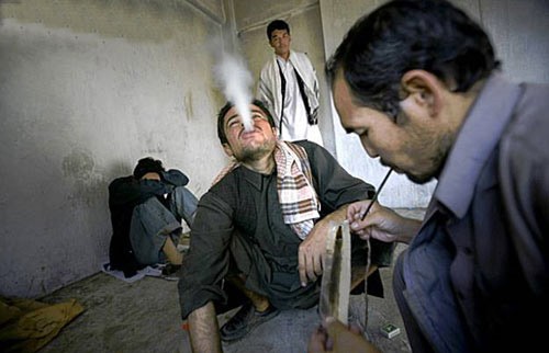 Cuộc chiến với “loài hoa thần chết” ở Afghanistan ảnh 2