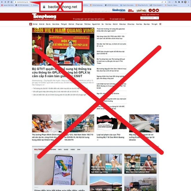 Xuất hiện website giả mạo trắng trợn báo Tiền Phong điện tử ảnh 1