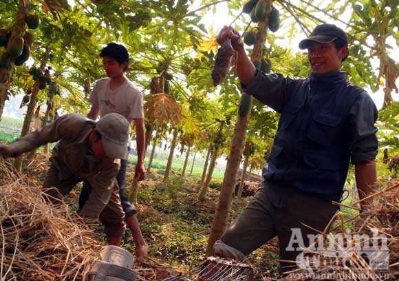 Nổi khùng vì bắt hụt...chuột ảnh 8