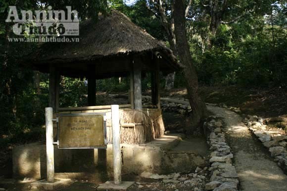 Còn đó, nơi thiên sử vàng chói lọi ảnh 12