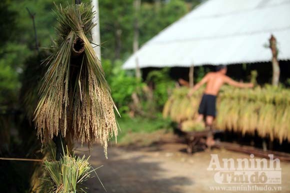 Gạt cơn “bão trắng” ảnh 7