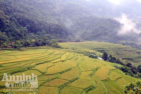 Gạt cơn “bão trắng” ảnh 11