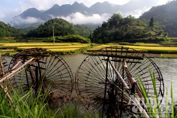 Gạt cơn “bão trắng” ảnh 1