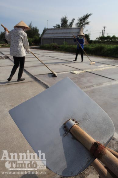 Những giọt mồ hôi trên dải cát trắng ảnh 2