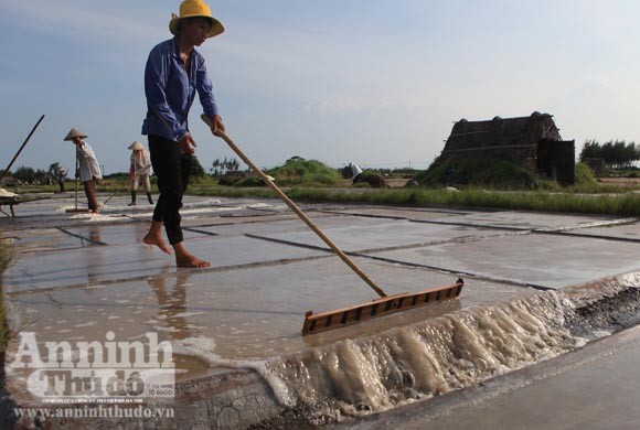 Những giọt mồ hôi trên dải cát trắng ảnh 9