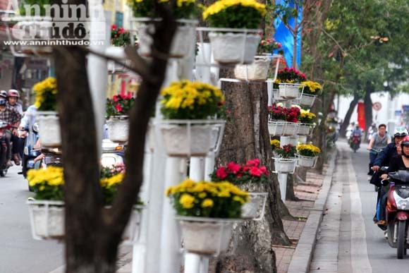 Hà Nội sáng bừng trong xuân mới ảnh 15