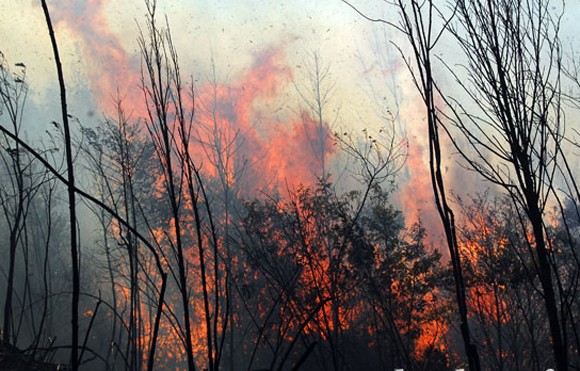 Hàng trăm người ngủ lại rừng Hoàng Liên để chữa cháy ảnh 1