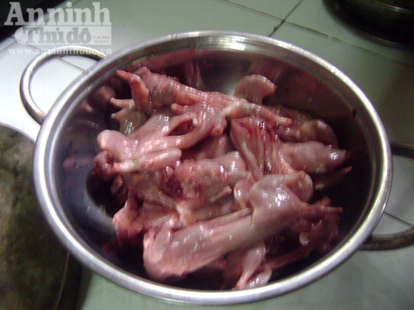 Về miệt đồng, ăn thịt... chuột! ảnh 2
