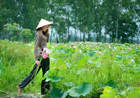 Hoa hậu biển Nguyễn Thị Loan mộc mạc bên đóa hoa sen ảnh 1