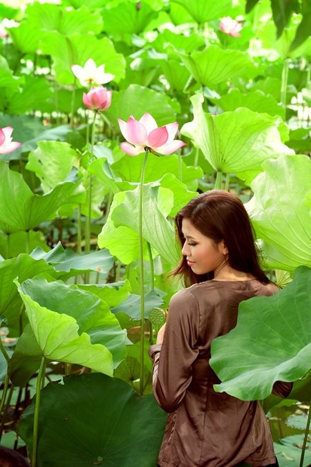 Hoa hậu biển Nguyễn Thị Loan mộc mạc bên đóa hoa sen ảnh 7