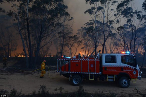 Cháy lớn ở Australia, ít nhất 100 ngôi nhà bị thiêu rụi ảnh 1