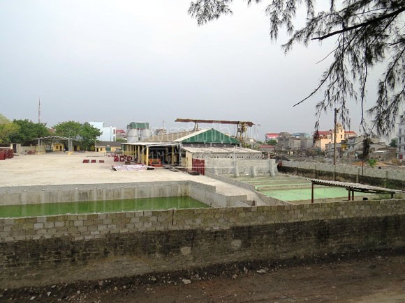 Dân lập bát hương quanh cổng cty Thiên Lộc ảnh 2