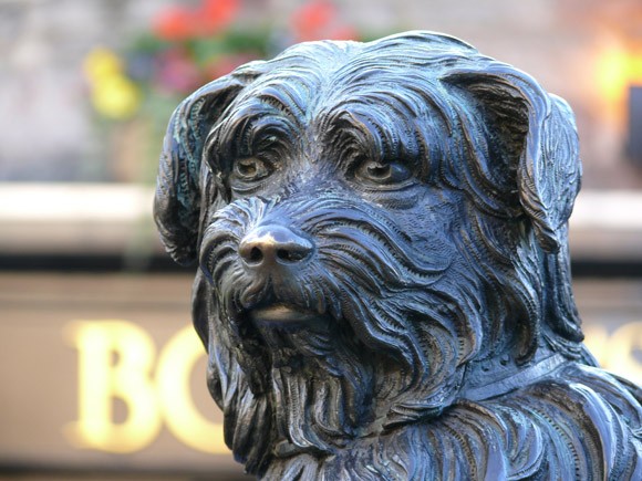Greyfriars Bobby- chú chó trung thành của thành phố Edinburgh ảnh 2