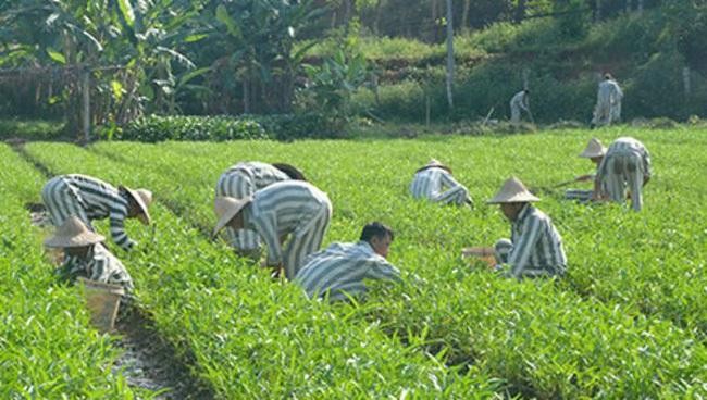 Hàng loạt chính sách quan trọng về lao động, tiền lương có hiệu lực từ tháng 9-2022 ảnh 1