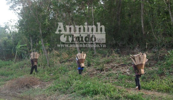 Thần bí truyền thuyết từ mối tình... loạn luân ảnh 3