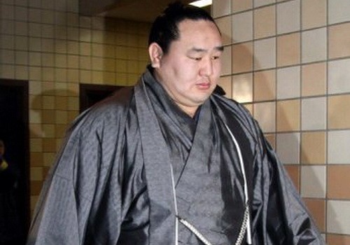 Nhà vô địch sumo bị lừa mất 1,1 triệu USD ảnh 1