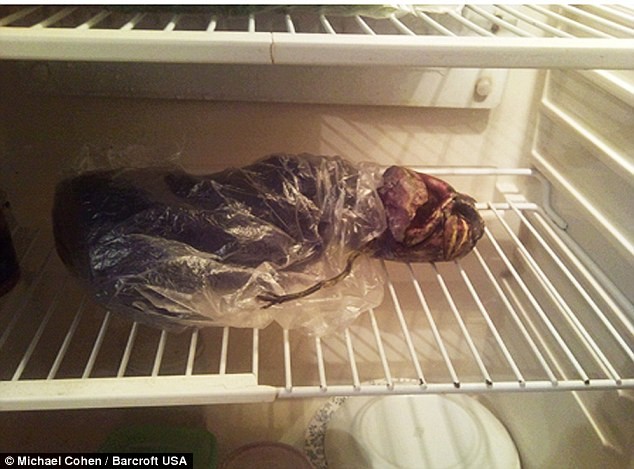 Giữ xác người ngoài hành tinh... trong tủ lạnh? ảnh 4